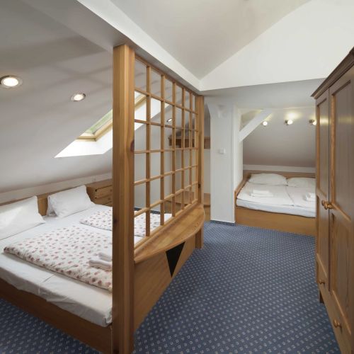 Alpský hotel Špindlerův Mlýn – Špindlerův Mlýn, Republica Cehă