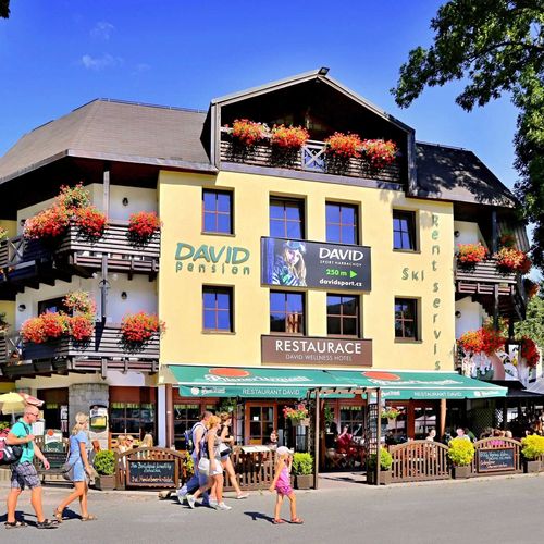 David wellness hotel Harrachov