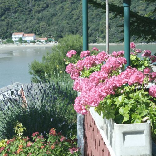 Apartments And Rooms With Parking Space Kampor, Rab - 5064 Kampor