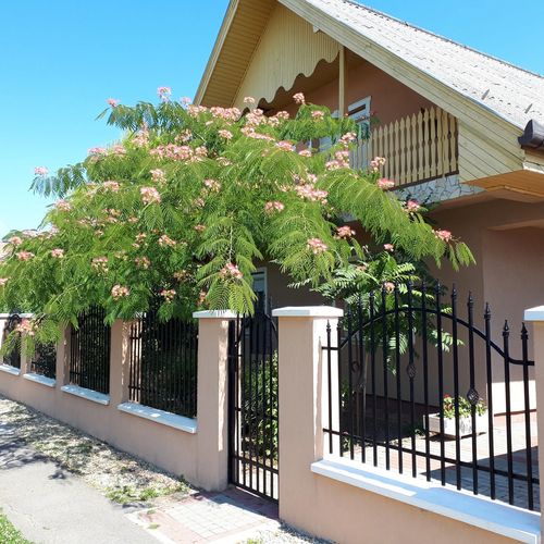 Mátyás Vendégház Füzesgyarmat