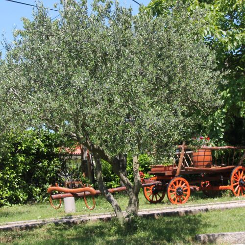 Apartments With Parking Space Labin - 14581 – Labin, Croația