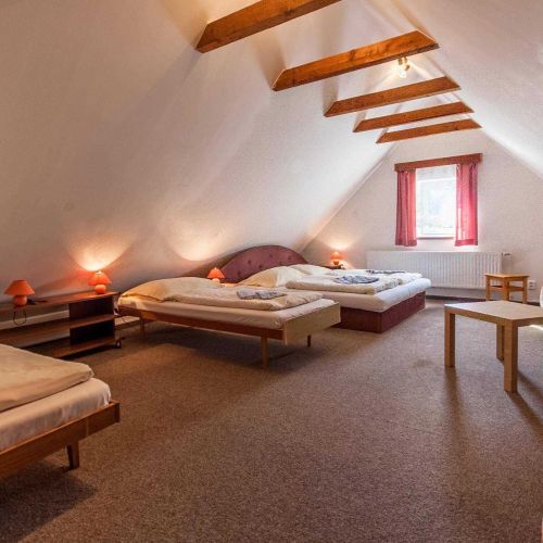 Horský hotel Flora Vítkovice – Vítkovice, Republica Cehă