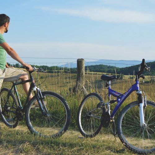 Faluhely Major Vendégház Mátranovák – Mátranovák, Ungaria