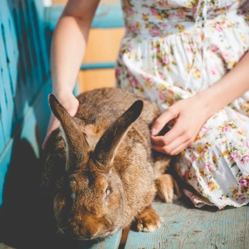 Faluhely Major Vendégház Mátranovák – Mátranovák, Ungaria