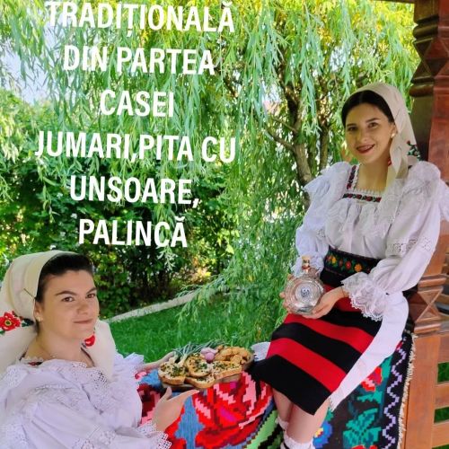 Pensiunea Cris-Mona Săpânța