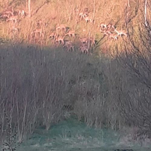 Matula Vendégház Benczúrfalva – Szécsény, Ungaria