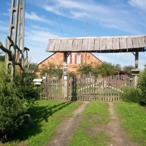 Gospodarstwo agroturystyczne Strusie Gniazdo Wandowo