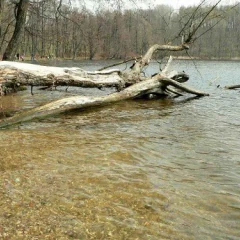 Agroturystyka Cały Dom - Okliny
