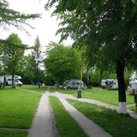 CAMPING nr 61 **   Elbląg