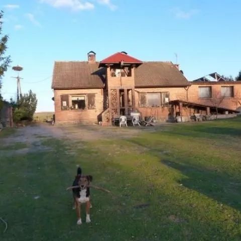 Gospodarstwo ekologiczne. Dźwierzuty