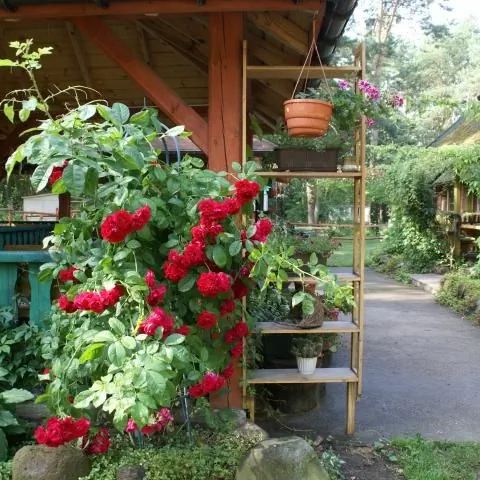 Ośrodek Rybaczówka Borsuki Pułtusk