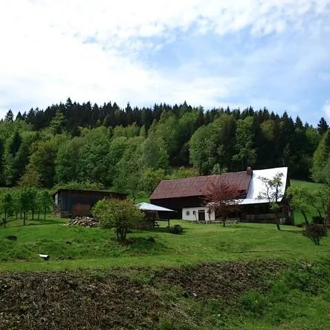 Agrowczasy 