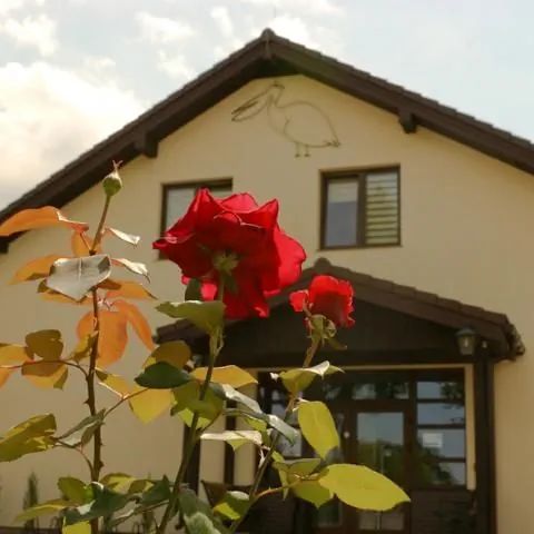 Hotel Pelikan Aleksandrów