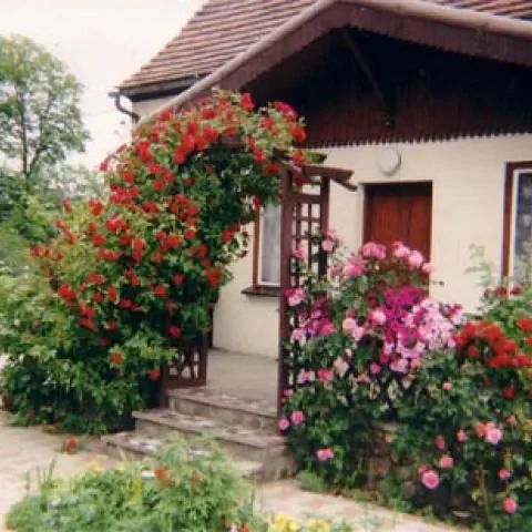 Gospodarstwo Agroturystyczne 'NATALIA' Chichy