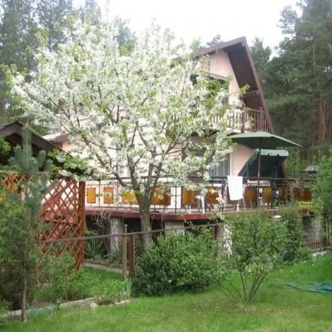 Do wynajęcia domek w Borach Tucholskich Mermet