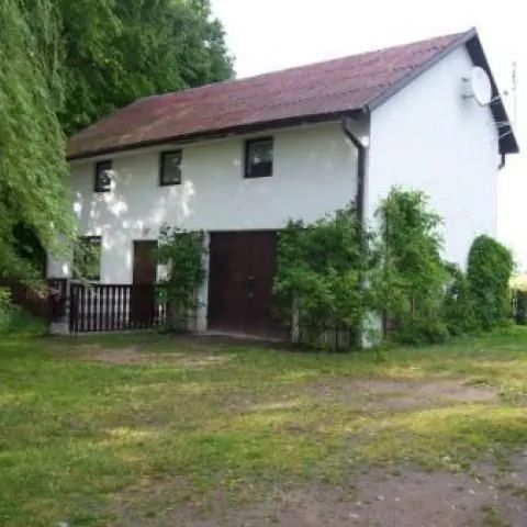 Siedlisko na półwyspie.  Wierzba