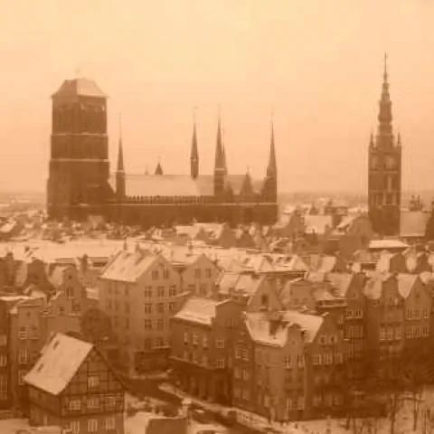 Dizzy Daisy Hostel Gdańsk