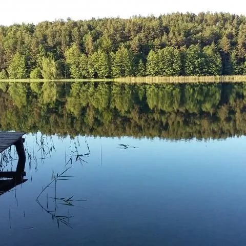 Dom Całoroczny Bratek - Kaszuby Świeszyno