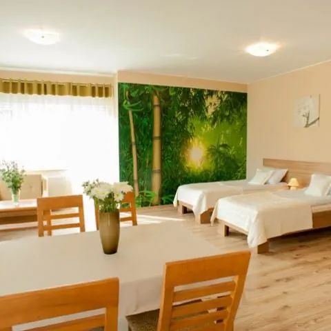 Apartamenty k. Poznania Tulce