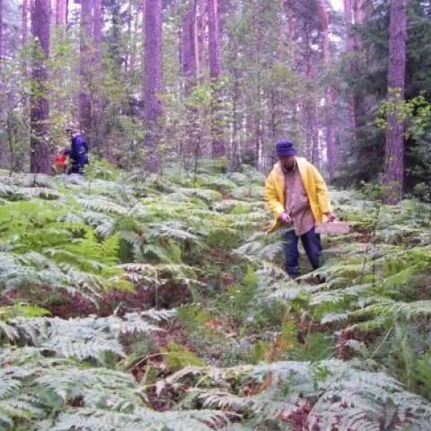 Leśniczówka Gusiołek Kopanki