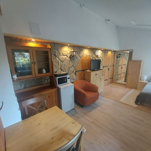 Camera cvadrupla studio cu vedere spre grădină