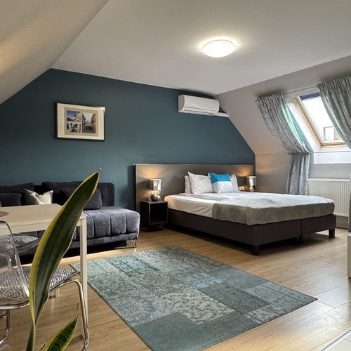 Apartament lux cu 1 camera pentru 2 pers. (se poate solicita pat suplimentar)