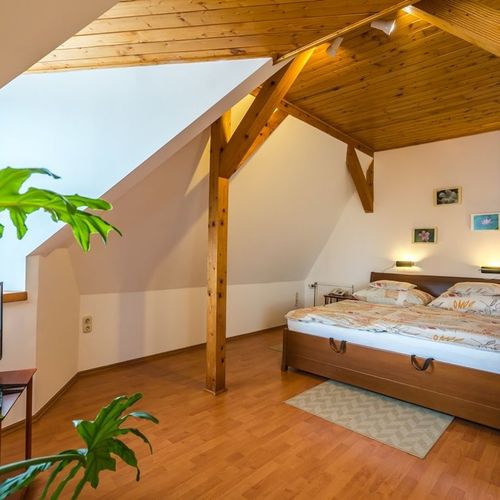 Apartament deluxe cu vedere spre munte cu 1 camera pentru 2 pers.