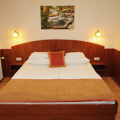 Apartament 2-osobowy Deluxe z balkonem z 1 pomieszczeniem sypialnianym