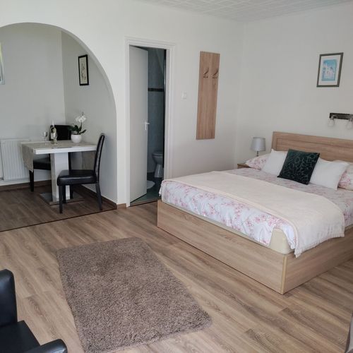 Apartament confort cu aer condiționat cu 1 camera pentru 2 pers. (se poate solicita pat suplimentar)