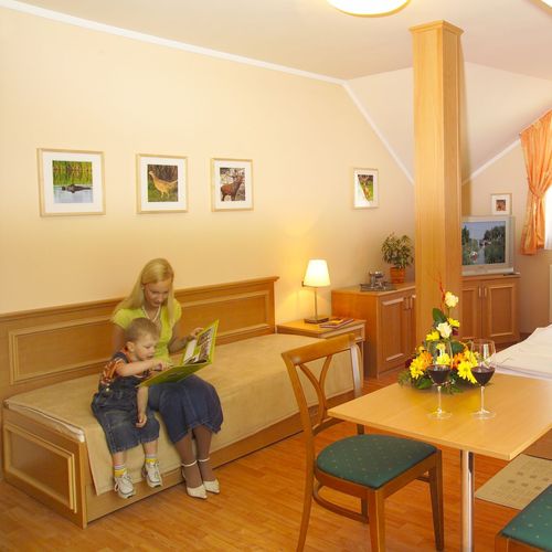 Camera standard Plus cu balcon pentru 5 pers.