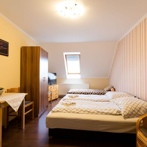 Apartament standard cu chicinetă proprie cu 1 camera pentru 2 pers. (se poate solicita pat suplimentar)