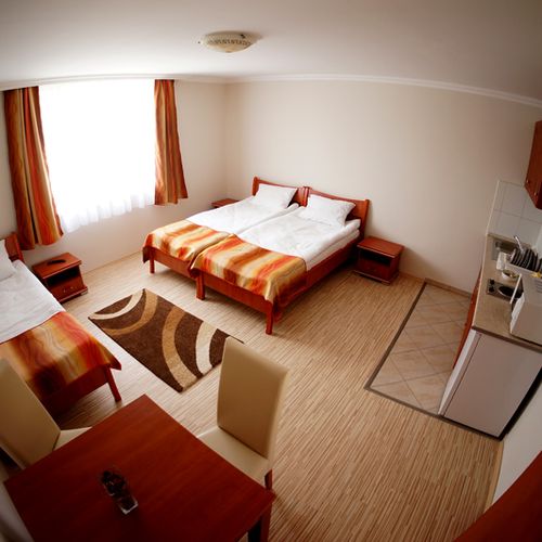 Apartament standard la parter cu 1 camera pentru 3 pers.