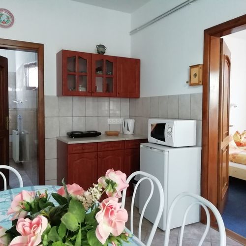 Apartament la parter cu terasă cu 1 camera pentru 2 pers. (se poate solicita pat suplimentar)