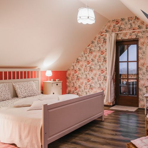 Apartament 2-osobowy z balkonem z widokiem na rzekę z 1 pomieszczeniem sypialnianym (możliwa dostawka)