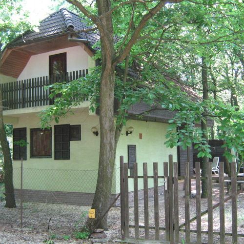 Domek letniskowy 7-osobowy cały dom z widokiem na las (możliwa dostawka)