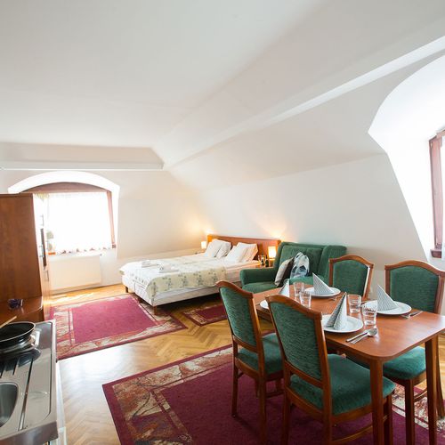 Apartament studio la mansardă cu 1 camera pentru 4 pers. (se poate solicita pat suplimentar)
