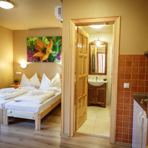 Apartament cu 1 camera pentru 2 pers.