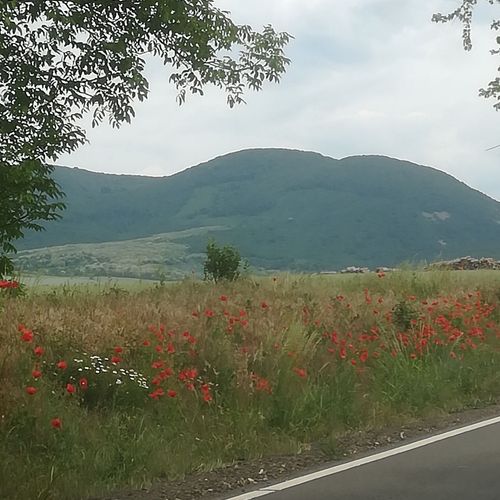 Pokoj s koupelnou pro 4 os. na přízemí