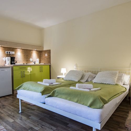 Apartament cu 1 camera pentru 3 pers.