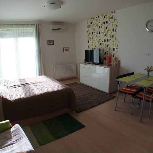 Apartament studio cu vedere spre lac cu 1 camera pentru 2 pers. (se poate solicita pat suplimentar)