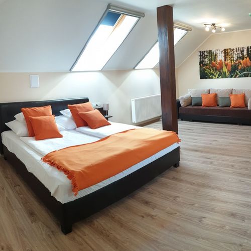 Apartament deluxe la etaj cu 1 camera pentru 2 pers. (se poate solicita pat suplimentar)