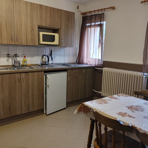 Apartament cu vedere spre pădure cu panoramă cu 1 camera pentru 3 pers. (se poate solicita pat suplimentar)