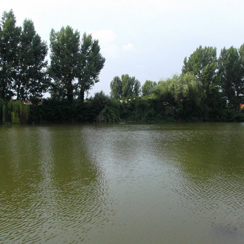 Casă de vacanță familial(ă) cu vedere spre lac pentru 4 pers. (se inchirieaza doar integral)