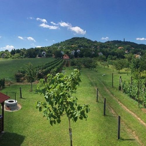 Apartman (jako celek) pro 6 os. s panoramou na poschodí