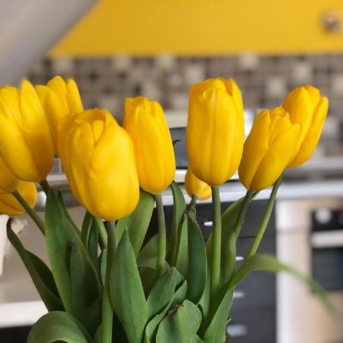 Apartament 5-osobowy na piętrze Superior z 2 pomieszczeniami sypialnianymi (możliwa dostawka)