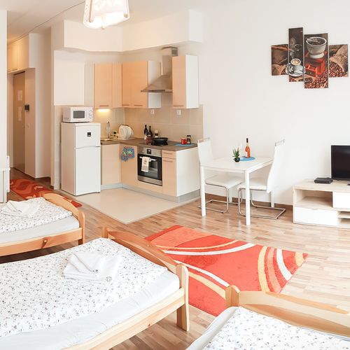 Apartament studio family cu 1 camera pentru 4 pers.