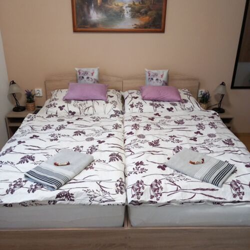 Apartament 2-osobowy with private bathroom z widokiem na ogród z 1 pomieszczeniem sypialnianym
