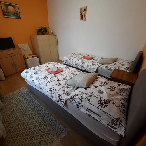 Camera twin la parter cu vedere spre grădină
