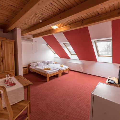 Apartament 3-osobowy Premia z widokiem na park z 2 pomieszczeniami sypialnianymi