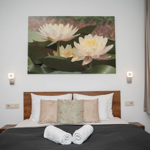 Apartament cu duș cu bucătărie proprie cu 1 camera pentru 2 pers. (se poate solicita pat suplimentar)